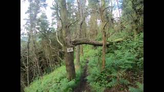 mtb trail run with gavinr32 and a few of his mates black trail shack track Clydach Vale rhondda [upl. by Enaxor]