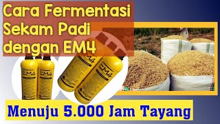 CARA FERMENTASI SEKAM PADI DENGAN EM4 I CARA FERMENTASI SEKAM PADI UNTUK MEDIA TANAM [upl. by Nevaj467]