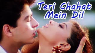 Teri Chahat Mein Dil  The Don 1995  Sonali Bendre Jugal Hansraj  Kumar Sanu Hits [upl. by Eiclehc]