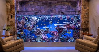 Massive Custom Home Aquarium  3000g Saltwater  Large Fish Tank Build [upl. by Kerwin]