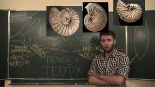 FOSSIL RECORD  Amonity anatomia i paleobiologia 5 [upl. by Ardnoek]