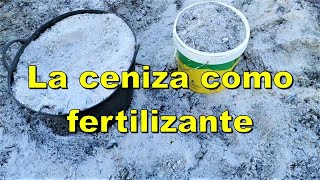 Las cenizas como fertilizante [upl. by Dnalyr882]