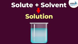 How does a Solute Dissolve in a Solvent  Solutions  Chemistry  Dont Memorise [upl. by Ynatil153]