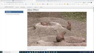 Allee effect lecture and demo [upl. by Anetsirk]