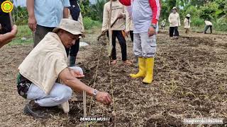 Dukung Produksi Padi Nasional KabSolok Selatan Perluas Areal Tanam Padi [upl. by Odnesor]