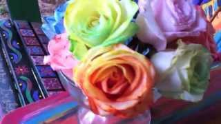 HOW TO Tie Dye Roses  DIY Rainbow Roses and Flowers [upl. by Temp]