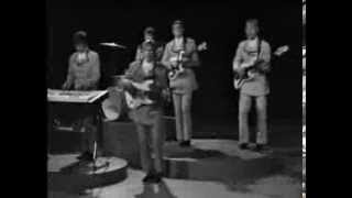 FLAMINGOKVINTETTEN  HON ÄR SEXTON ÅR IDAG  MUSIKVIDEO 1968 [upl. by Cirala]