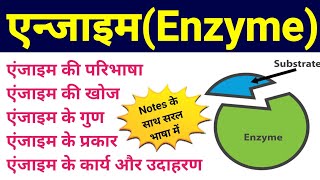 एंजाइम  enzymes in hindi  enzymes biomolecules  enzyme difinition example type function  bio [upl. by Onitnas]