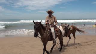 Mazatlan MEXICO [upl. by Nodnarbal879]