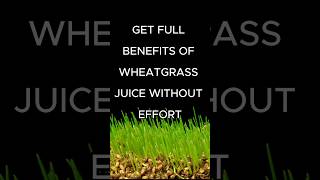 Make sure it’s Wheatgrass JUICE Powder wheatgrass superfood nutrition health healthtips vegan [upl. by Akenaj207]