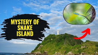 Mysterious Snake Island of Brazil [upl. by Edualcnaej]