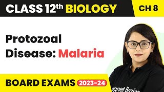 Protozoal Disease Malaria  Human Health amp Disease  Class 12 Biology Chapter 8 202223 [upl. by Eiffub]