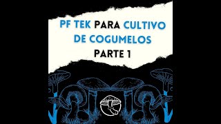 CULTIVO FÁCIL DE COGUMELOS o que é a PF TEK e como realizar esta técnica [upl. by Maurise]