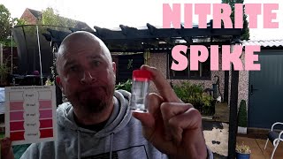 DISASTER  NITRITE SPIKE  Removing Old Filter [upl. by Haldas]