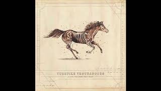 Turnpike Troubadours  Pay No Rent  A Long Way From Your Heart [upl. by Augustin825]