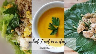 WHAT I EAT IN A DAY 2  CANDIDA DIET [upl. by Aiek]