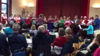 Traquair choir sings Karine Polwarts Follow the Heron Home [upl. by Damarra]