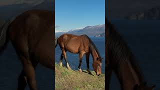 Ruta de los lagos Neuquinos Hoy por San Martín de los Andes [upl. by Miriam]