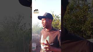 Mathipa mjolo the dating comedy funny [upl. by Starr]