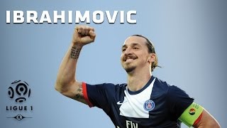 Zlatan Ibrahimovic  All 26 Goals  20132014 [upl. by Ateekahs555]