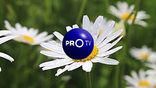 PROTV ident spring [upl. by Ulberto]