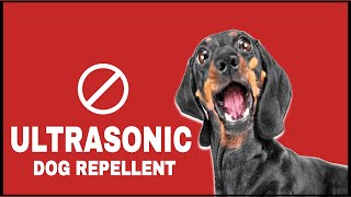 Ultrasonic Sound To Scare Dogs dogrepellent [upl. by Ahsieka]