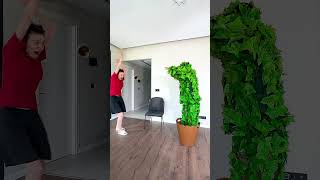 Tree man prank on cat😂cat dog shorts [upl. by Lordan]