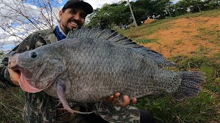 TILÁPIA OU DINOSSAUROUM MONSTRO DO LAGO Pescaria [upl. by Cirillo]