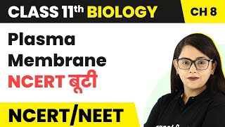 Plasma Membrane NCERT बूटी  Cell The Unit of Life  Class 11 Biology [upl. by Abdulla]