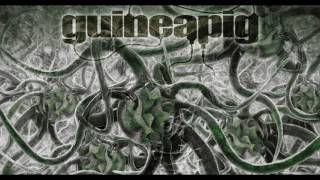 Guineapig  Bacteria 2014 Full Album [upl. by Ytisahc47]