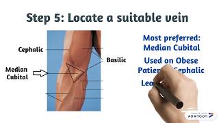 Phlebotomy How to Draw Blood [upl. by Atoiganap291]