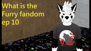 WHAT IS THE FURRY FANDOM ep10 looking at more worlds [upl. by Izogn746]