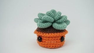 Planta suculenta amigurumi [upl. by Knitter]