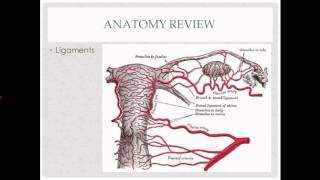 abdominal hysterectomy  description indications and questions [upl. by Aivizt737]