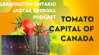 Tomato Capital of Canada Leamington Ontario [upl. by Dyann]