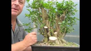 Proper Watering Techniques for Bonsai Trees [upl. by Ihn406]