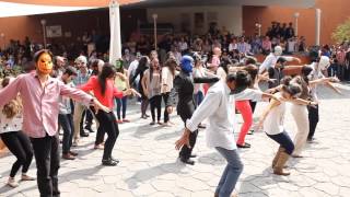 Flashmob Thriller [upl. by Erick897]