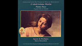 Pietro Pace  quotO dulcissima Mariaquot  3 Motets [upl. by Johiah]