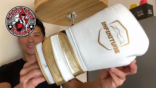 Infinitude Velocity Pro Boxing Gloves REVIEW GOOD TRAINING GLOVE FOR ALL YOUR GYM NEEDS [upl. by Aerb]