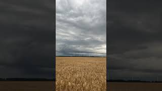 Fette Shelfcloud bei Titz  Jackerath vom 9724 gewitter unwetter shelfcloud stormchasing [upl. by Pinebrook]