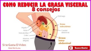 COMO REDUCIR LA GRASA VISCERAL 8 consejos [upl. by Acinomaj]