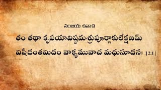 Bhagavad Gita Chanting Chapter2 With Text in Teluguభగవద్గీత పారాయణం తెలుగులొ [upl. by Gearard]