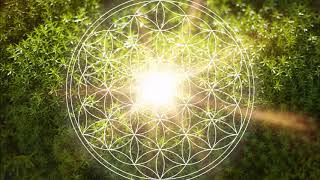 528 Hz Heart Chakra Regeneration  Repair amp Heal The Heart Chakra  Open amp Balance ANAHATA Chakra [upl. by Felita]