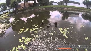 Drone Flying in the Rain with Splash Drone PRO [upl. by Miehar469]