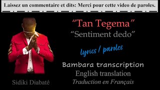 Tan Tegema • Sidiki Diabaté  Lyrics  Paroles  English  Traduction français  Sentiment dedo [upl. by Barthold]