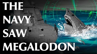 USN Petty Officer and Others Report Megalodon Sightings [upl. by Charin]