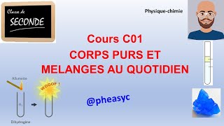 C01 CORPS PURS ET MÉLANGES AU QUOTIDIEN cours en classe de seconde [upl. by Bannister]