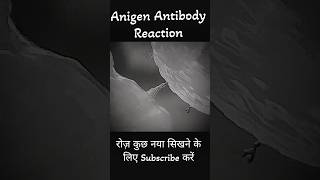 Antigen Antibody Reaction dadhichsir bsc neet shorts youtubeshorts [upl. by Randa398]