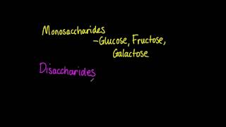 323 List three examples each of monosaccharides disaccharides and polysaccharides [upl. by Chanda530]