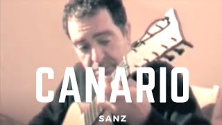 canario Gaspar Sanz Xavier DíazLatorre baroque guitar [upl. by Tizes]